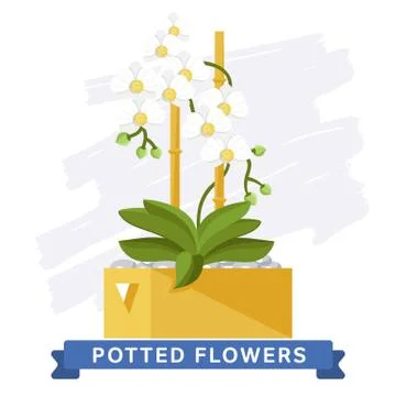 Spring colorful flowers in pots Vector Stock Illustration