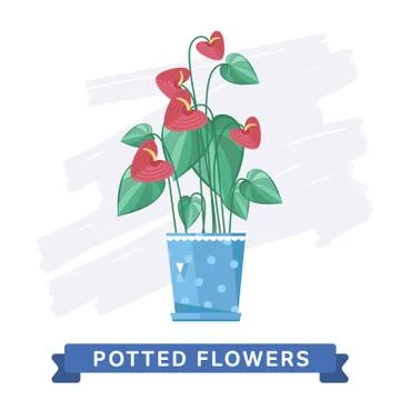 Spring colorful flowers in pots Vector Stock Illustration