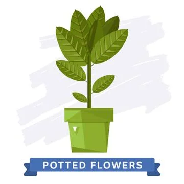 Spring colorful flowers in pots Vector Stock Illustration