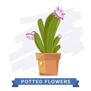 Spring colorful flowers in pots Vector Stock Illustration