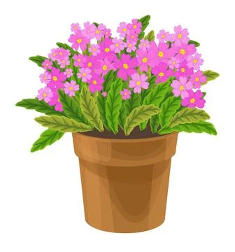 Spring colorful flowers in pots Vector plants for home and garden, potted plants Stock Illustration
