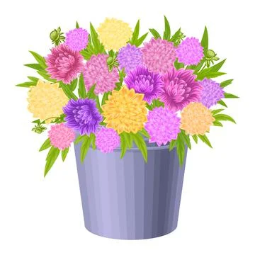 Spring colorful flowers in pots Vector plants for home and garden, potted plants Stock Illustration