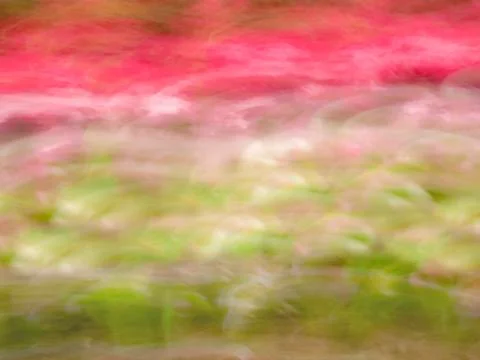 Spring Colors Abstract Stock Photos