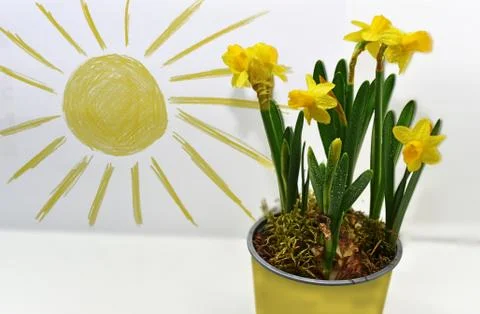 Spring colors abstraction using colored pencils. Stock Photos