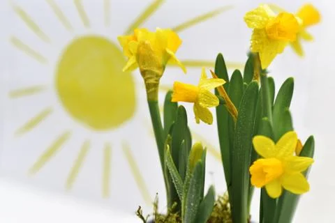 Spring colors abstraction using colored pencils. Stock Photos