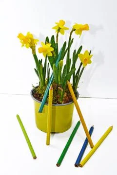 Spring colors abstraction using colored pencils. Stock Photos