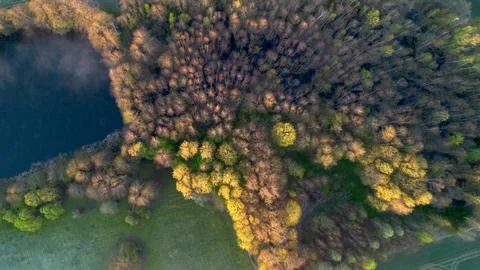 Spring colors Foto stock