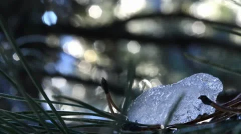 Spring coming 2 Stock-Footage 10688266