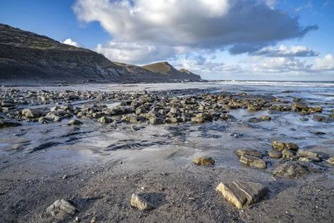 Spring is coming at Crackington Haven Foto stock