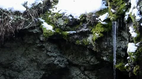 Spring coming Stock-Footage 10688261