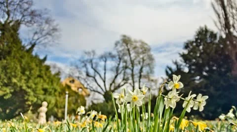 Spring is coming Stock Footage 11226033