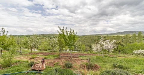 Spring is coming Stock Footage 241331203