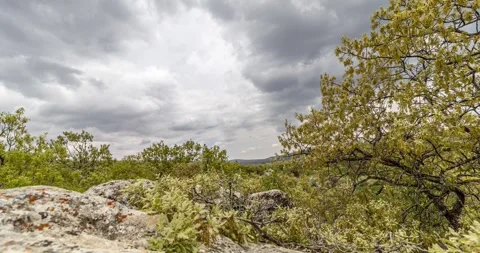 Spring is coming Stock Footage 241331301