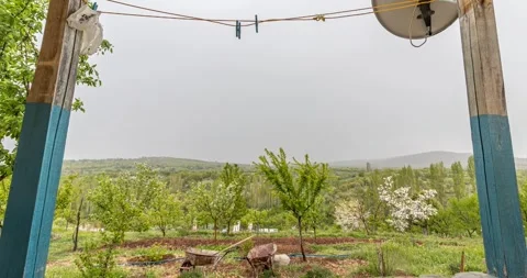 Spring is coming Stock Footage 241331930