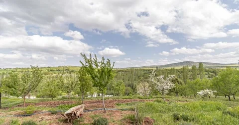 Spring is coming Stock Footage 241332180