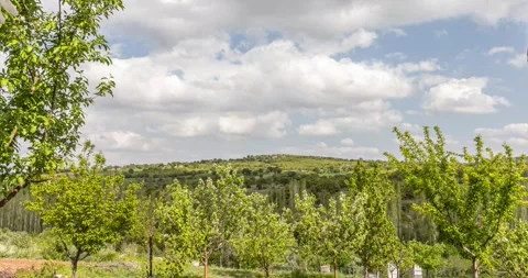 Spring is coming Stock Footage 241332190