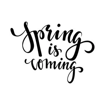 Spring is coming. Hand drawn calligraphy and brush pen lettering. Stock Illustration