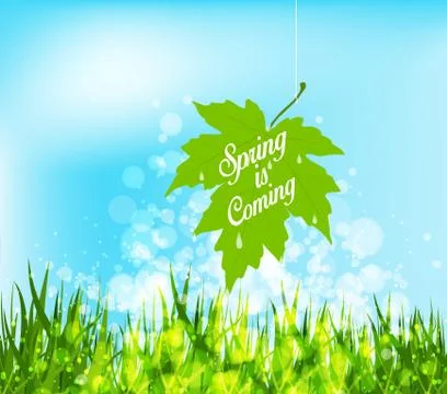 Spring is coming hanging leaf on a strings Stock Illustration