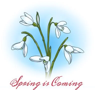 Spring is coming Stock Illustration