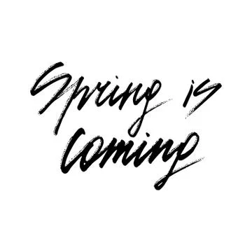 Spring is coming ink modern brush calligraphy Stock Illustration