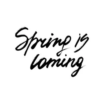Spring is coming ink modern brush calligraphy Stock Illustration