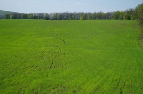 Spring coming to the land Stock Photos