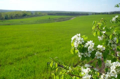 Spring coming to the land Stock Photos