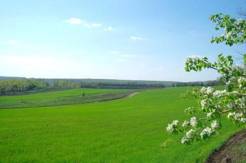 Spring coming to the land Stock Photos