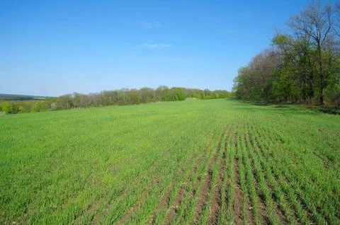 Spring coming to the land Stock Photos