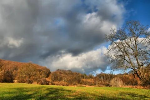Spring is coming Stock Photos