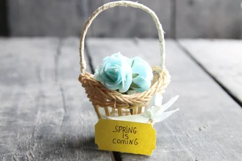 Spring is coming Stock Photos