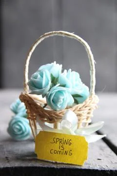 Spring is coming Stock Photos