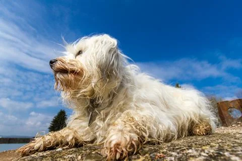 Spring is coming Stock Photos