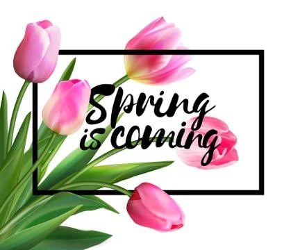 Spring is coming tulips flowers background with lettering. Vector EPS 10 Stock Illustration