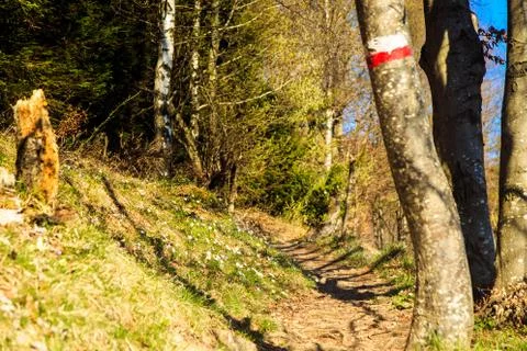 Spring is coming in the valley Foto stock