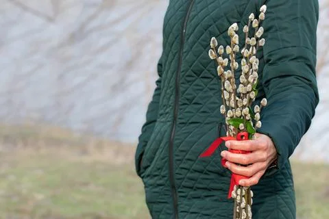 Spring composition with blooming willow twigs.Concept of the beginning of spr Stock Photos