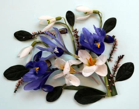 Spring Composition: Bunch of flowers in spring, iris, snowdrop, crocus Stock Photos