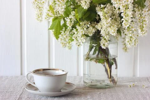 Spring composition with flowering cherry branches. Stock-Fotos