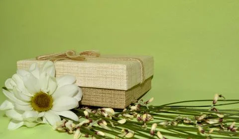Spring composition with flowers and gift box on a green background for Birthd Foto stock