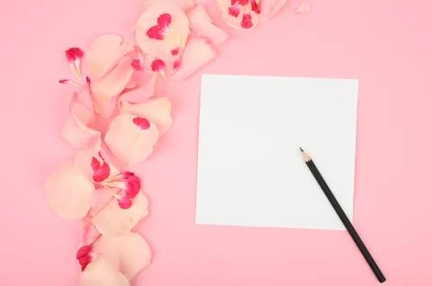 Spring composition with flowers on color table. Womens blog concept. Space fo Stock Photos