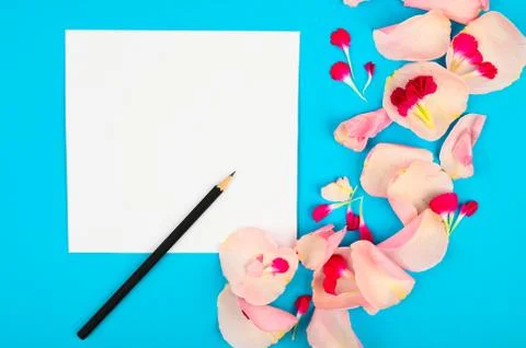 Spring composition with flowers on color table. Womens blog concept. Space fo Foto stock