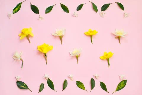 Spring composition made with daffodil flowers and green leaves Foto stock