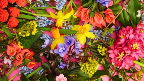 Spring composition, Pattern made of spring flowers, top view Stock Footage 266942759