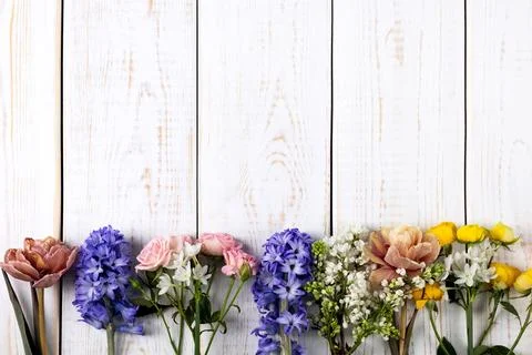 Spring composition Stock Photos