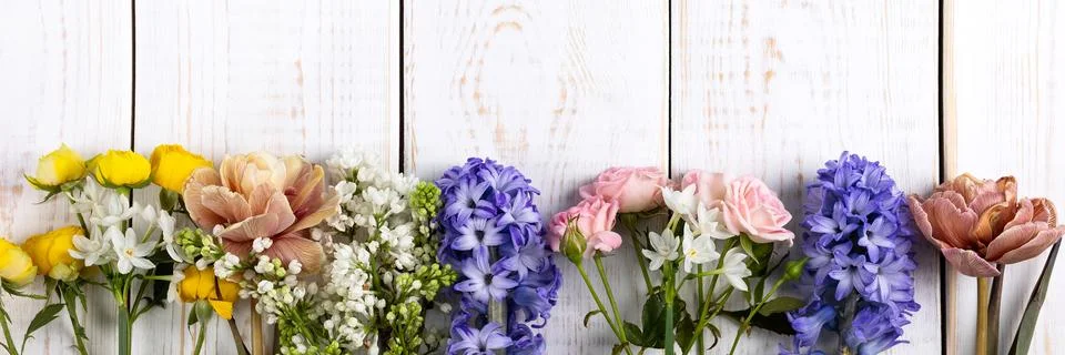 Spring composition Stock Photos