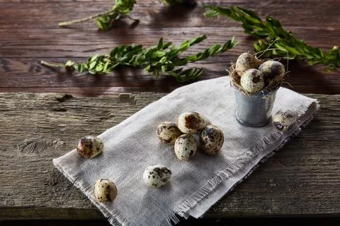 Spring composition of quail eggs in bucket on a linen napkin and boxwood branch Stock Photos