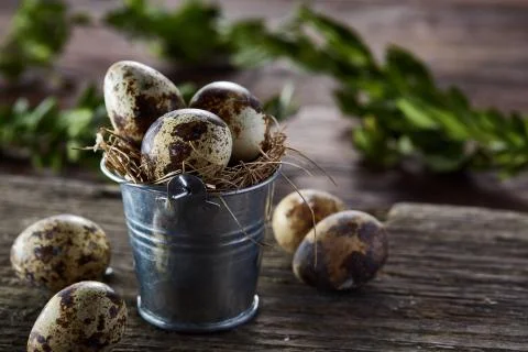 Spring composition of quail eggs in bucket and pyramid of eggs on a linen napkin Stock Photos