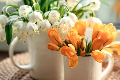 Spring composition with snowdrops and crocuses, close up. Stock Photos