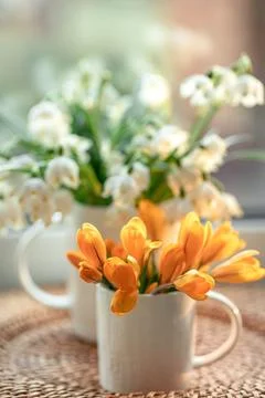 Spring composition with snowdrops and crocuses, close up. Stock Photos