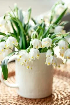 Spring composition with snowdrops in a cup, close-up. Stock Photos